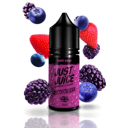 Productos relacionados de Just Juice Ice Pure Mint Concentrate 30ml
